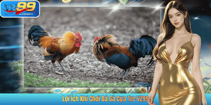 Lợi Ích Khi Chơi Đá Gà Cựa Tre VZ99