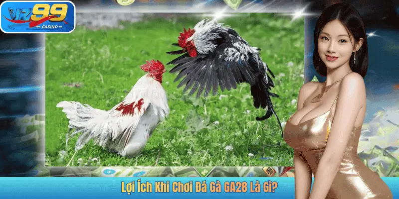 Lợi Ích Khi Chơi Đá Gà GA28 Là Gì?
